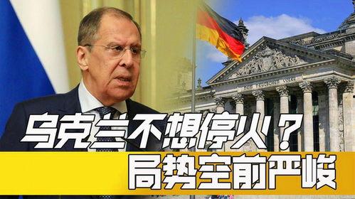 乌克兰局势最新爆料新闻,最新爆料揭示战事进展与各方动态
